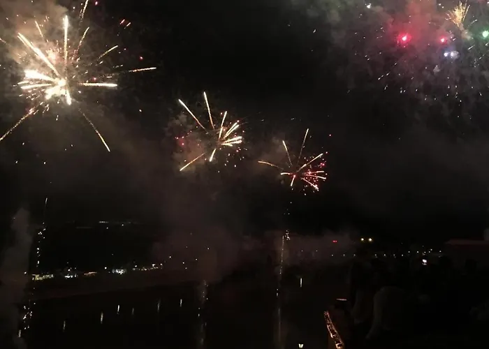 Paradiso View 피사